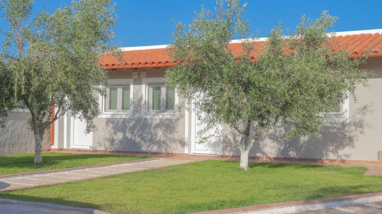 Spitakia-Cozy & Comfy Apartments 10Minutes From The Airport Artemida  Exteriör bild